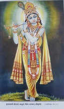 Load image into Gallery viewer, Shrigarga Samhita (श्रीगर्ग संहिता (सानुवाद) ) - Gita Press - 2260